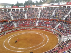 Es gibt auch Stierkämpfe. Ich bin aus dokumentarischen Gründen rein und habe ein Bild gemacht und dann sofort wieder raus. Grundsätzlich bin ich dagegen.