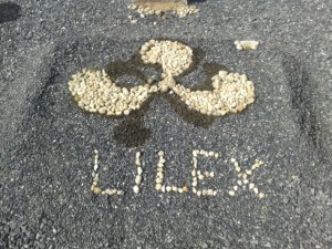 Verzierungen im Kies vor meiner Fakultät - LILEX = Licenciatura en Lenguas Extranjeras