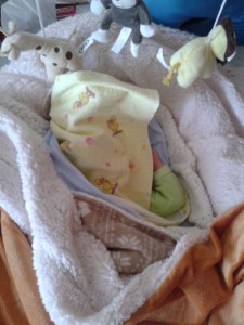 Was Tanok besondes gut kann: sich selber zudecken.